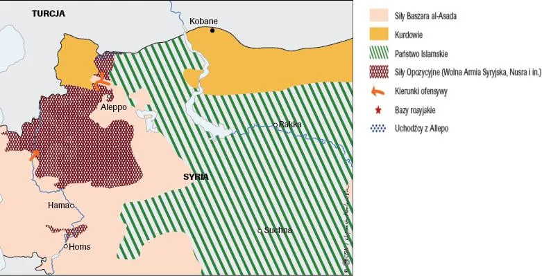 Turcja kontra UE. Toczy się gra o strefę bezpieczeństwa w Syrii