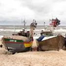 UE zdecydowała, co mogą złowić polscy rybacy