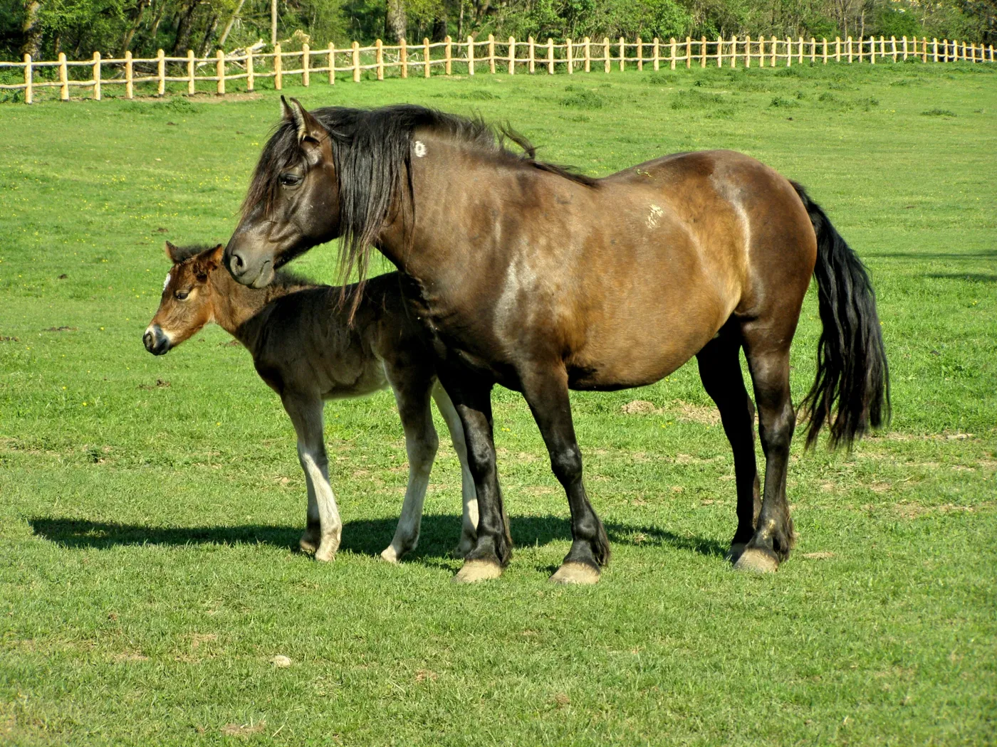 Pieniądze na polsko-litewską współpracę