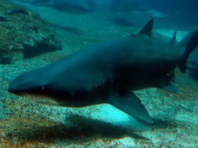 Najdroższy pawilon stołecznego ZOO