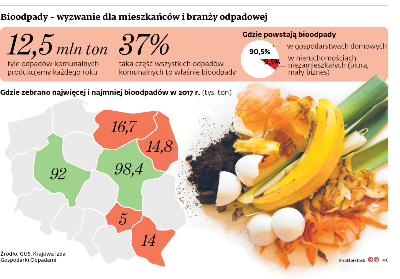 Małe gminy inwestują w kompostowniki. Miasta nadal bez pomysłu ws. bioodpadów