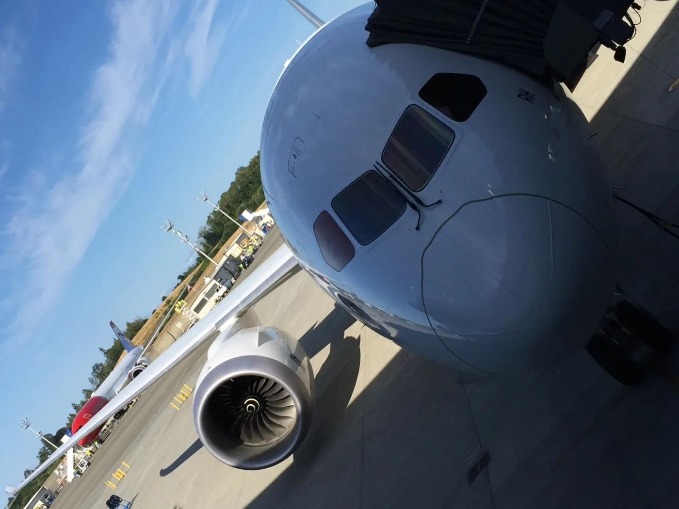 3021065-boeing-787-dreamliner-w-barwach.jpg