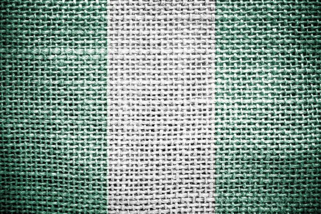 Kolejni kibice z Nigerii zatrzymani na przejściu w Gronowie