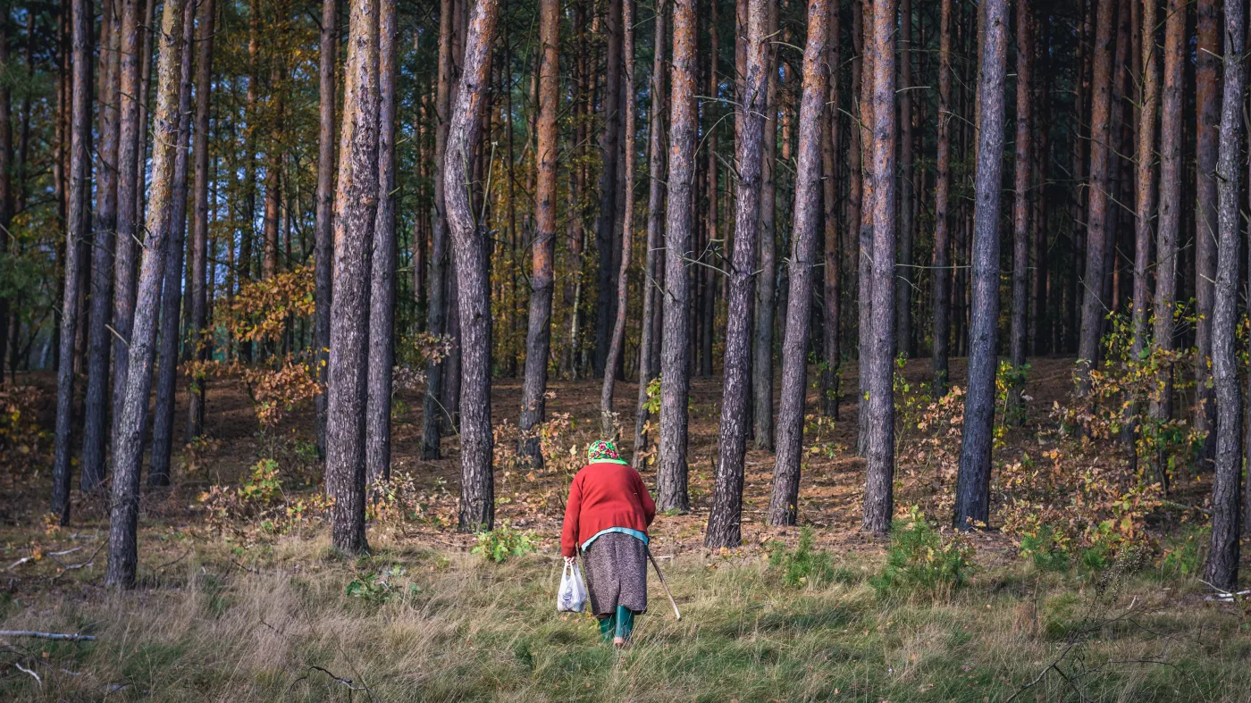 COP26: Uzgodniono porozumienie o powstrzymaniu wylesiania do 2030 r.