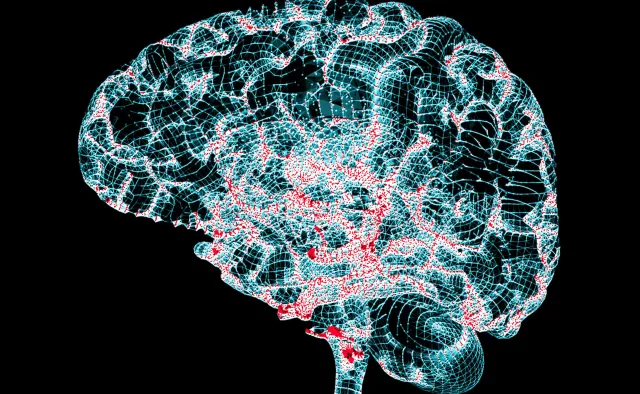 Naukowcy ze Szwecji: Chorobę Alzheimera można wykryć na długo przed objawami