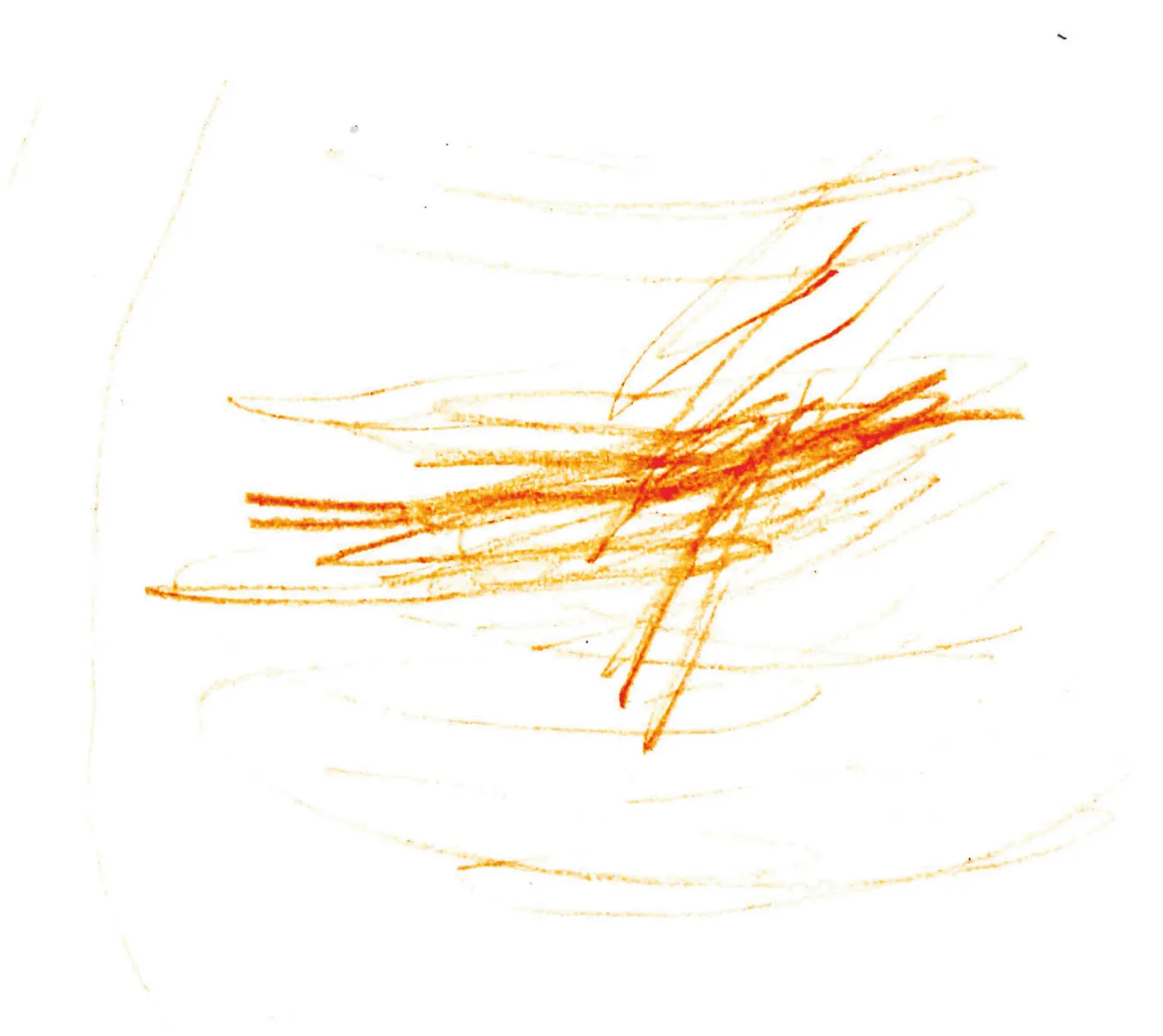 c374f8f8-f815-4069-9207-a2e831fa466d-37820124.jpg