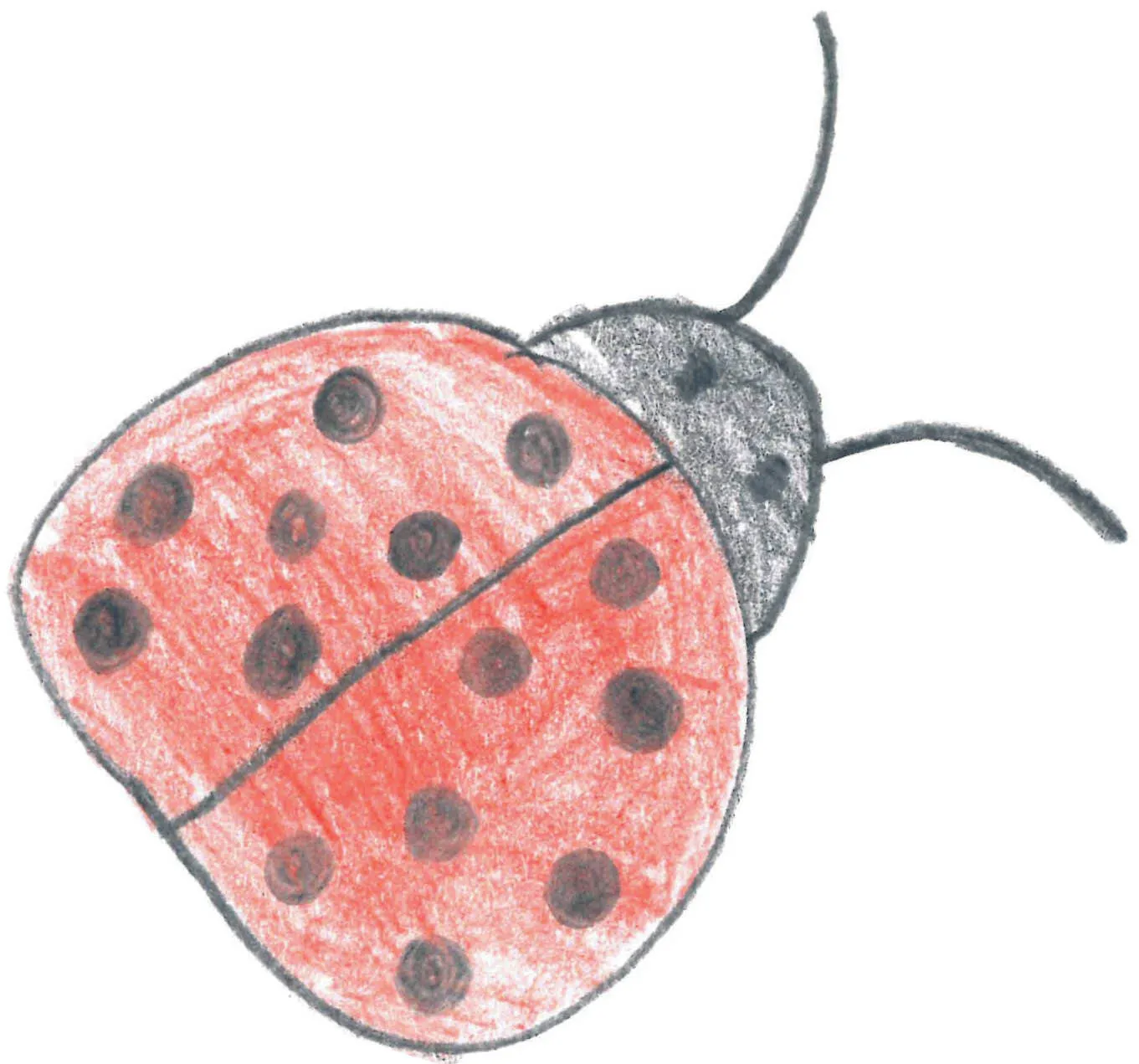 dd934f55-a5ae-49ca-a0d5-900015ac769d-38202740.jpg