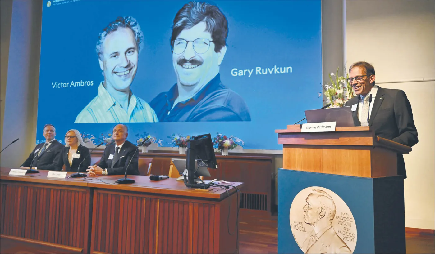 Victor Ambros i Gary Ruvkun laureatami Nobla w medycynie za odkrycie mikroRNA