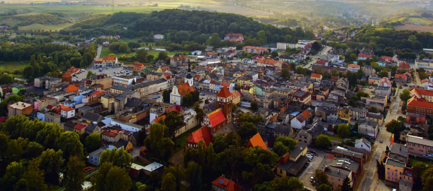 Nowe granice, statusy, nazwy i siedziby samorządów. Jakich argumentów użyć, by doszło do zmiany  [analiza]