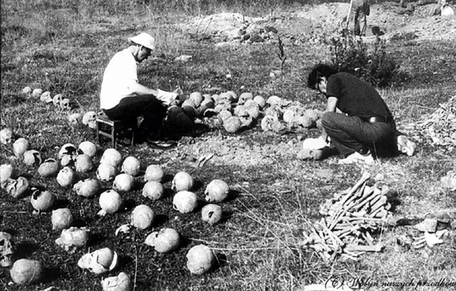 Wołyń 1943: Między czystką etniczną a ludobójstwem