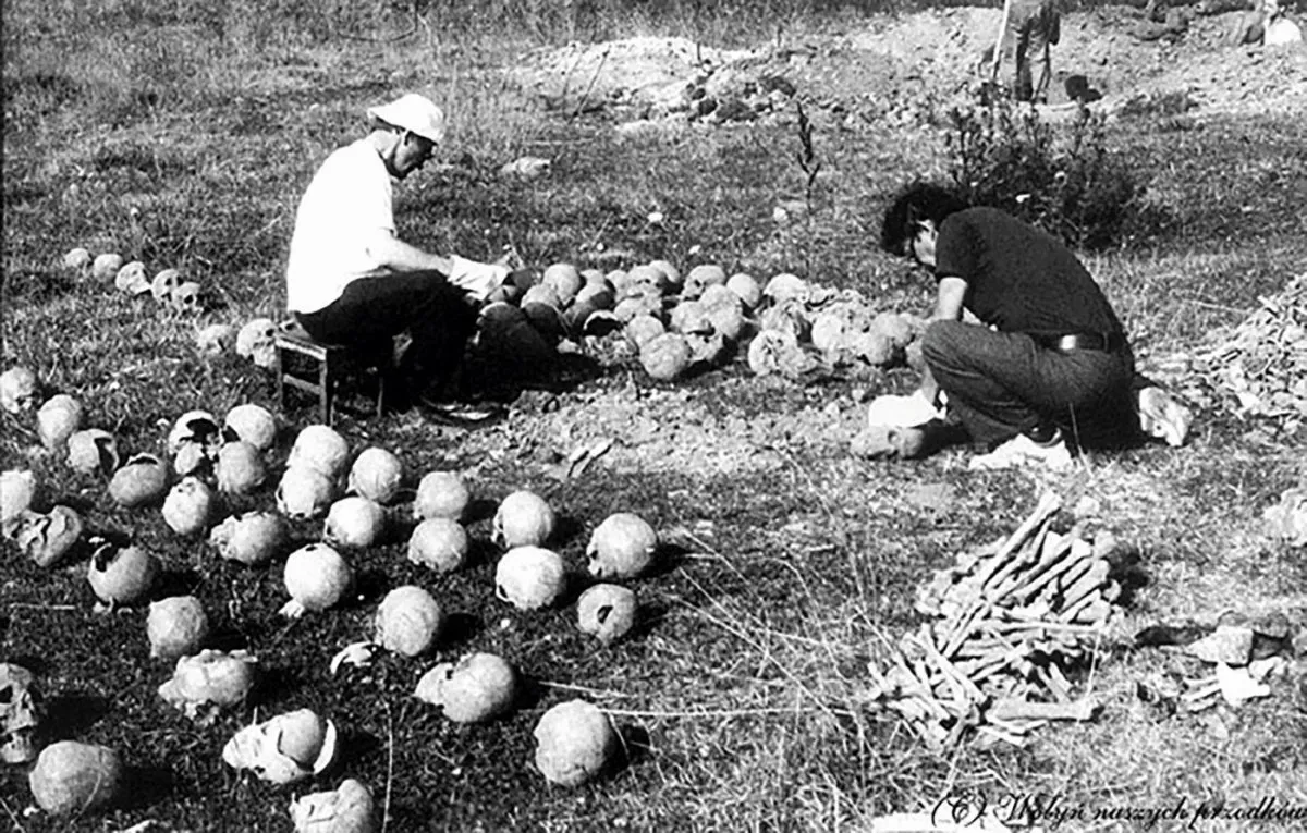 Wołyń 1943: Między czystką etniczną a ludobójstwem