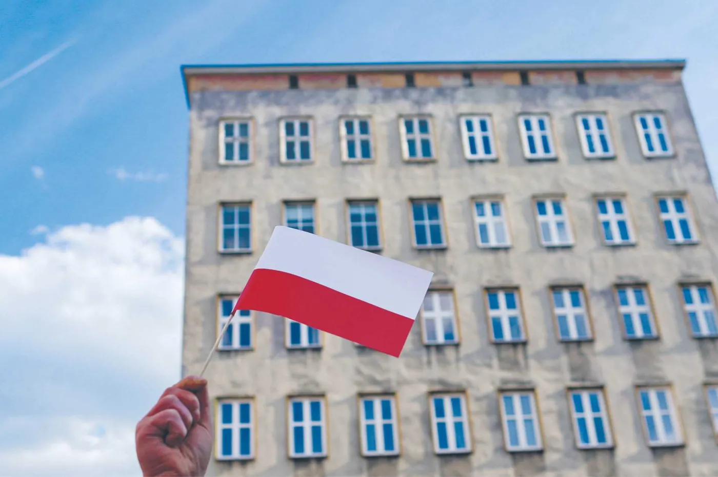 Paralizator albo długopis