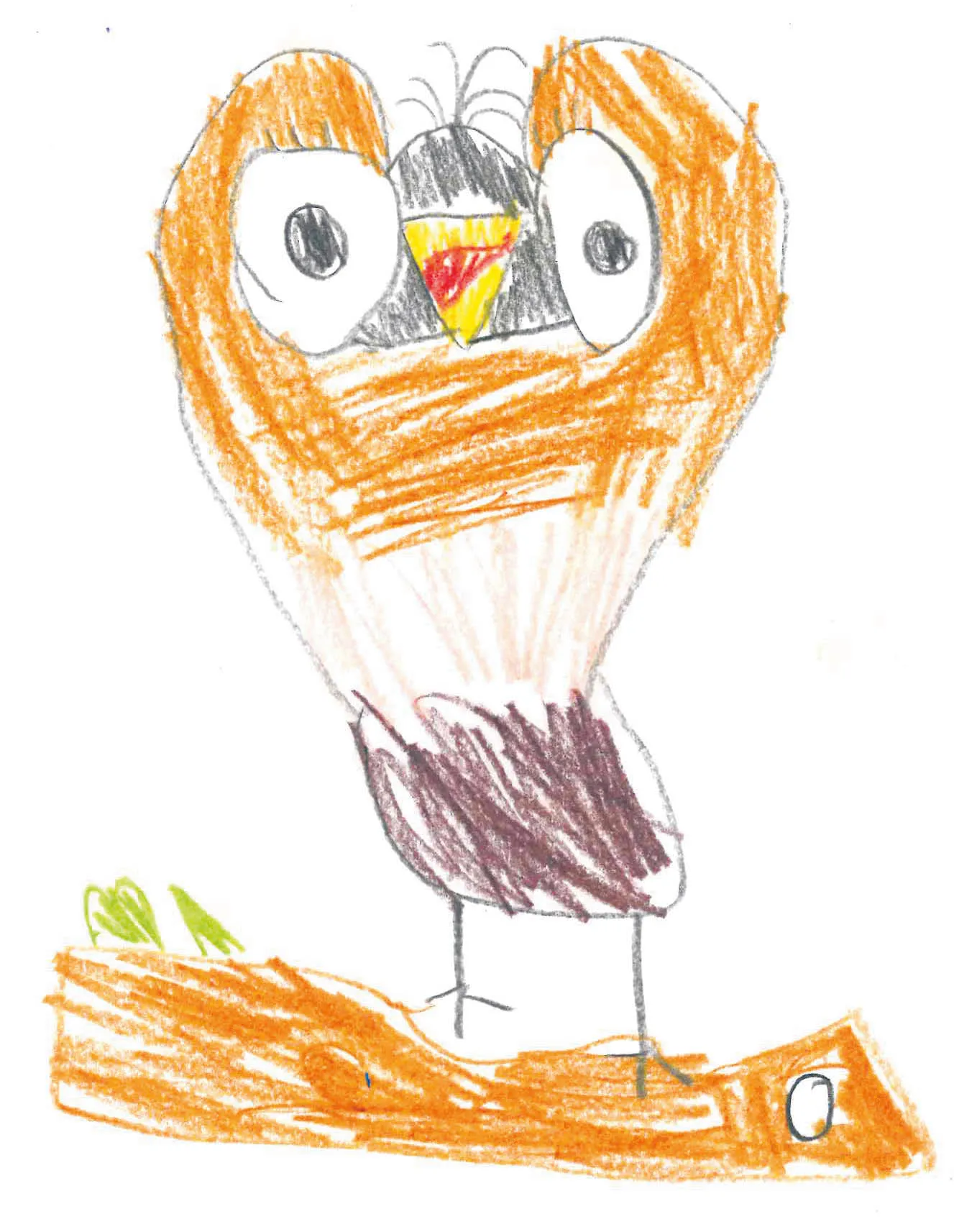 aa0aff25-7d6e-43c5-8641-9d3688e86ef1-38497825.jpg