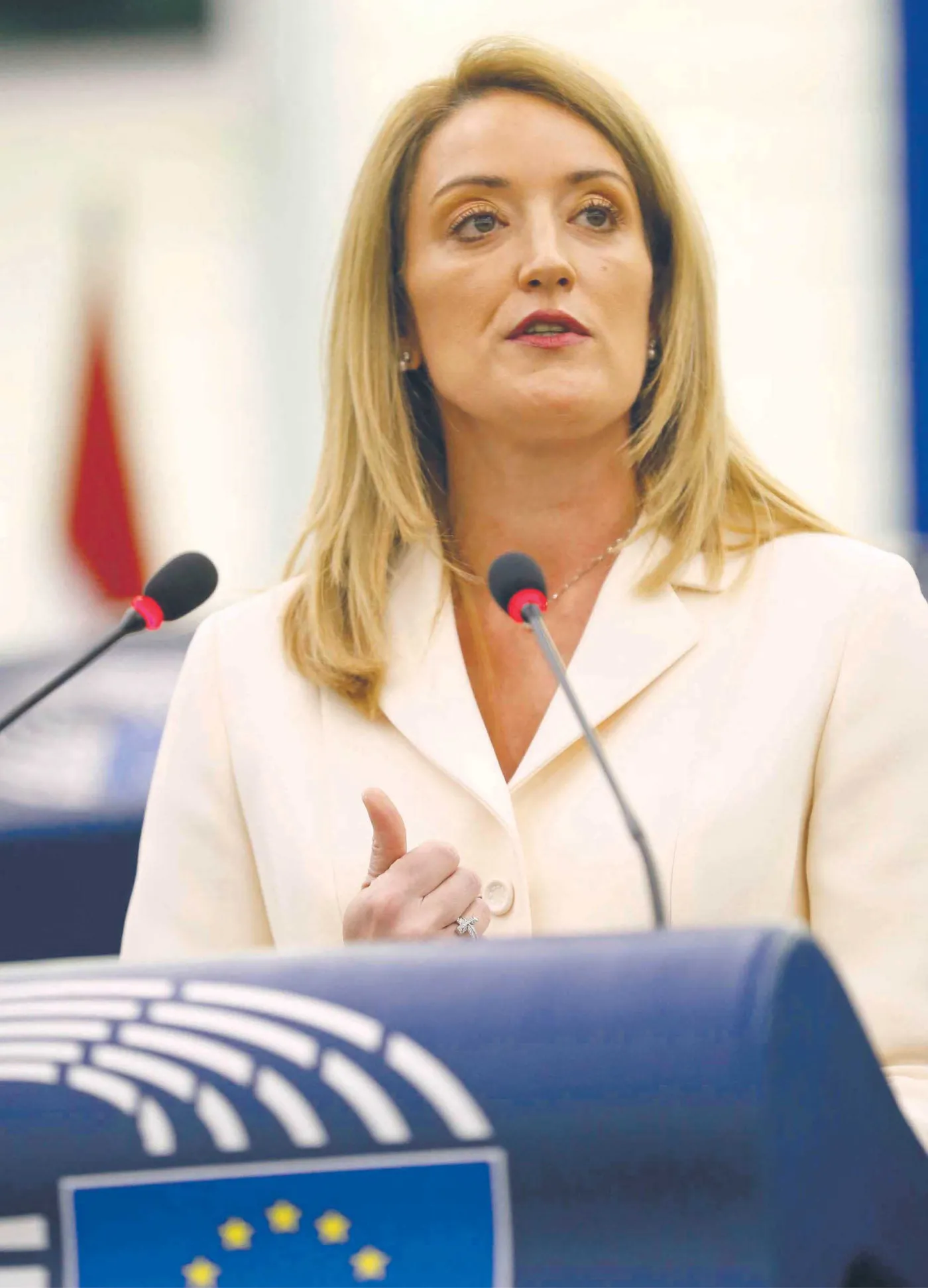 Roberta Metsola, Przewodnicz