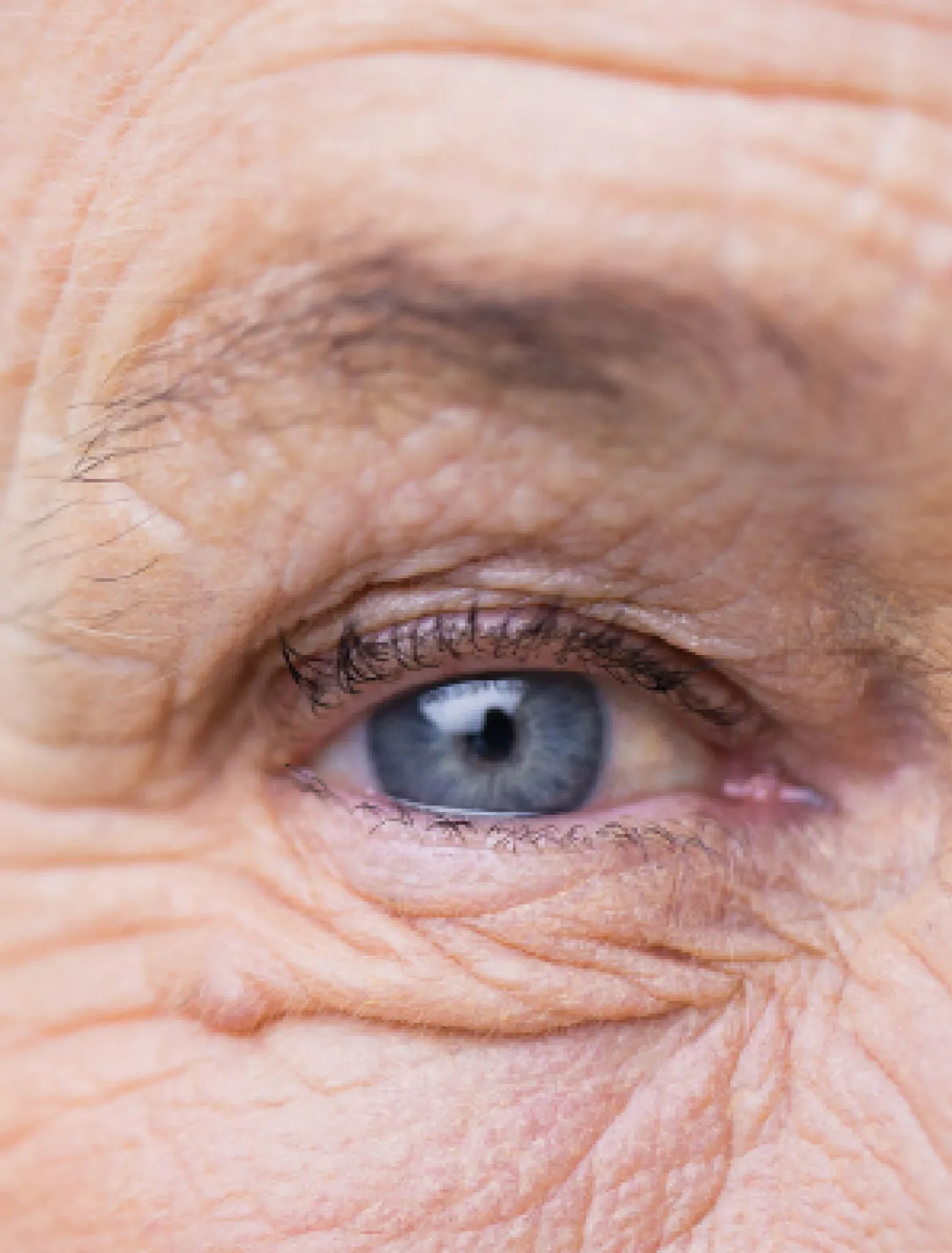 Nowa opieka geriatryczna. Szansa dla seniorów, zadania dla powiatów