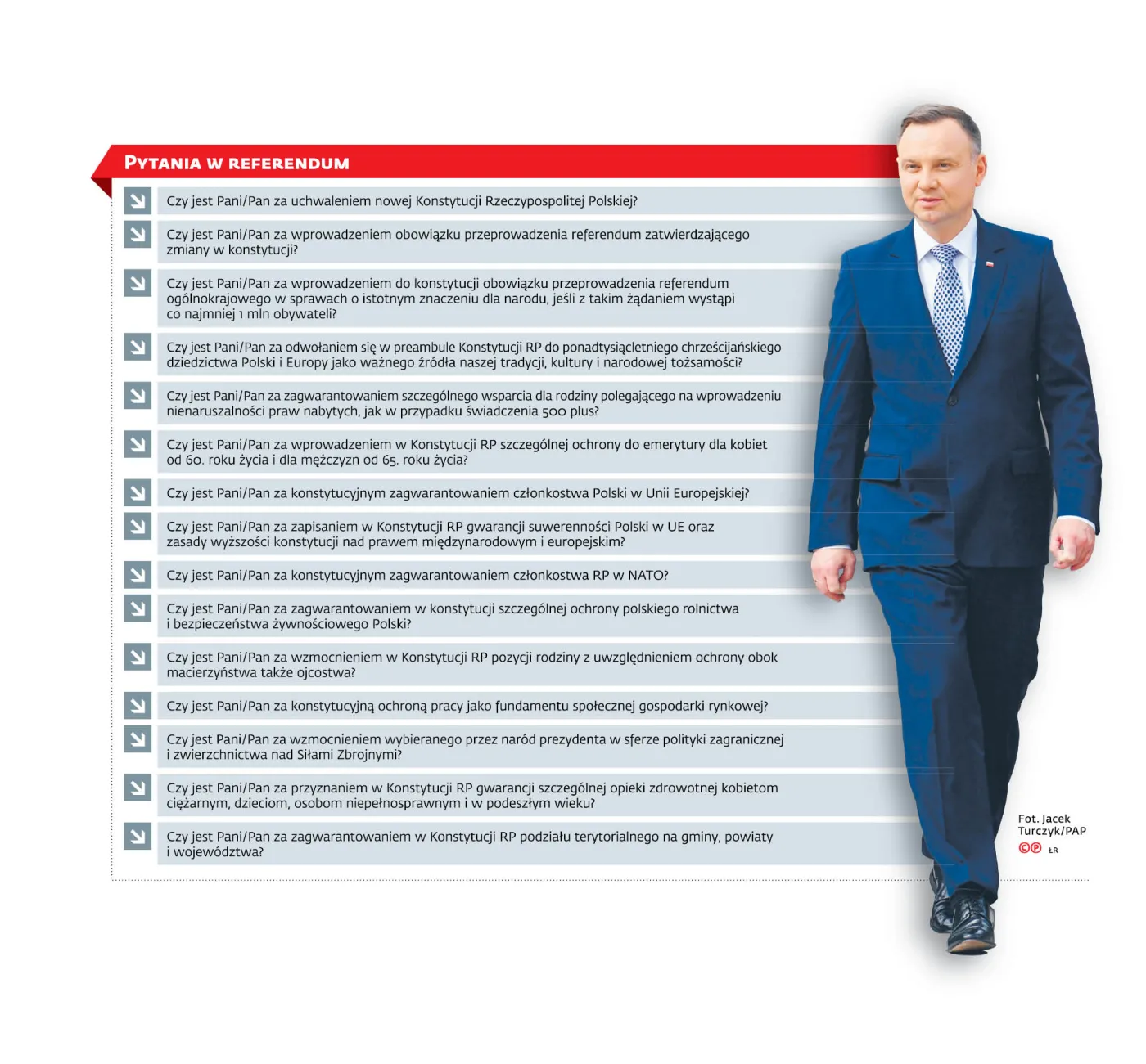 Konstytucyjny plebiscyt socjalny
