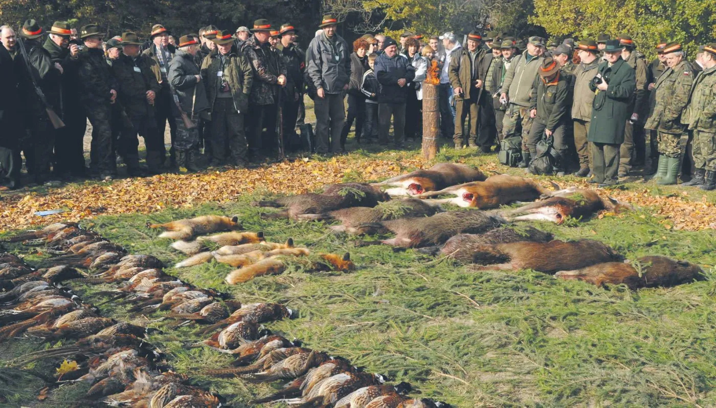 Mistrzostwo hipokryzji