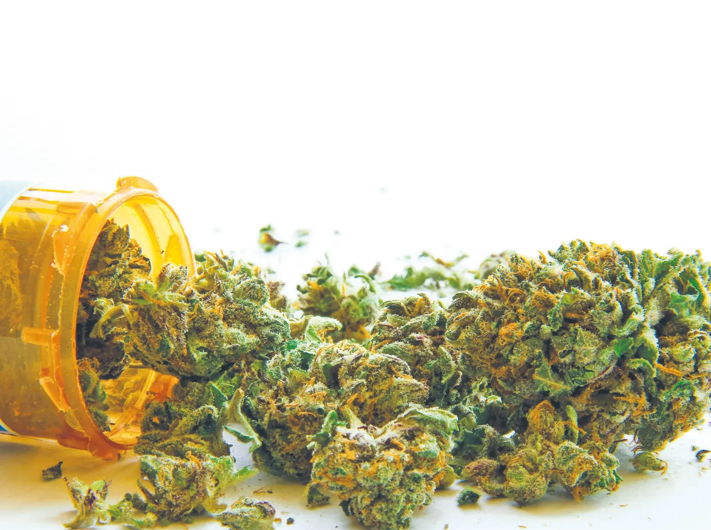 Marihuana nie tylko dla potrzebujących