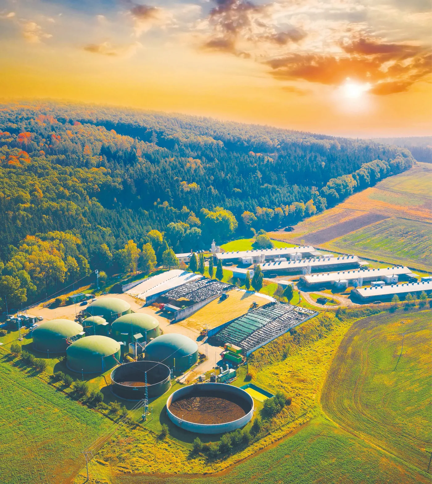 Branża czeka na nowelizację ustawy o biopaliwach