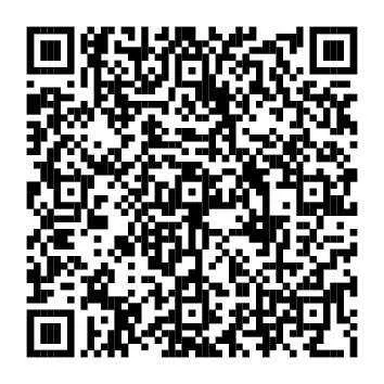 53986628-0b9a-4738-b526-1d9c23457fe2-38202070.jpg