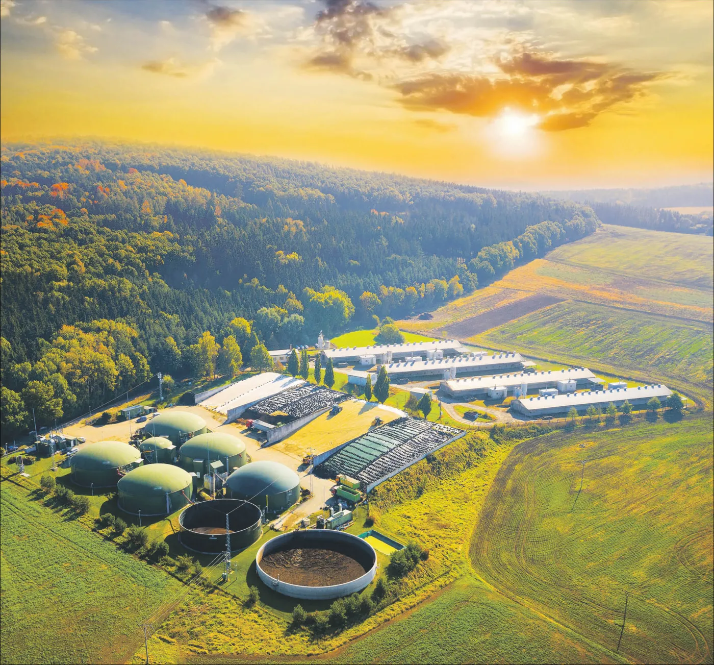 Ministerstwo Energii stawia na biomasę