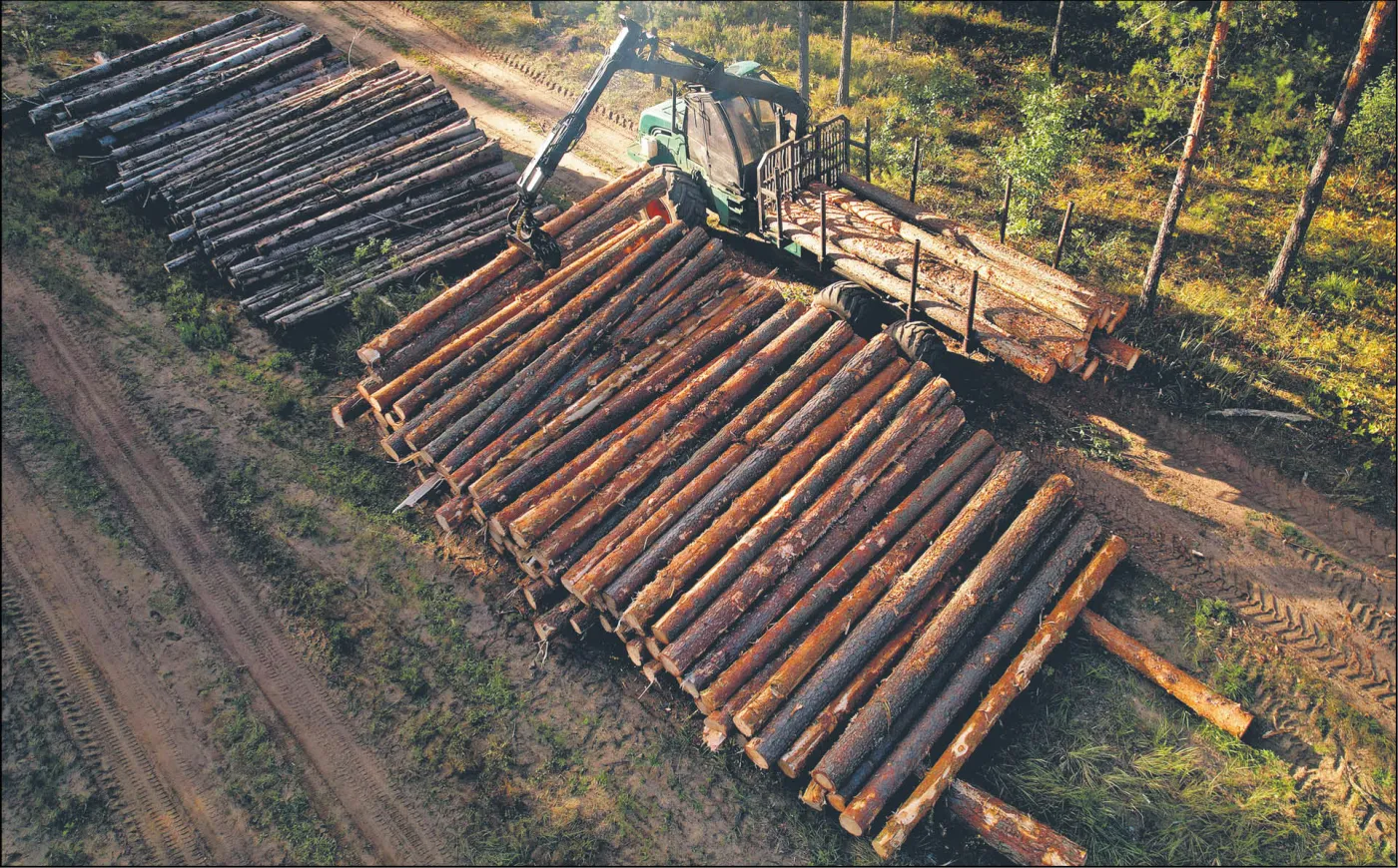 EUDR na nowo. Mniej biurokracji, ale czasu też mało