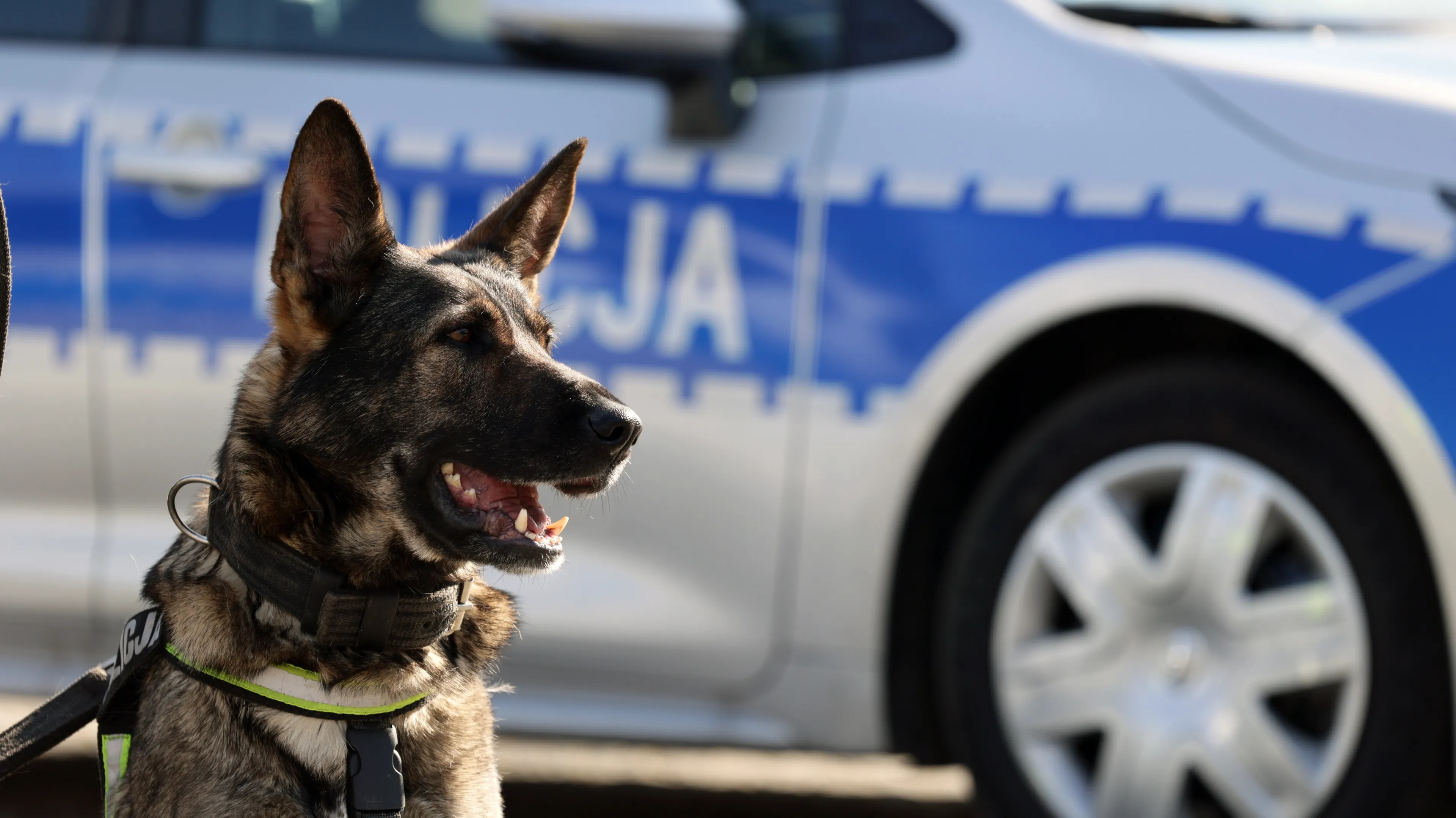 Przełom w sprawie szczątków znalezionych w zaroślach. Tożsamość mężczyzny potwierdzona