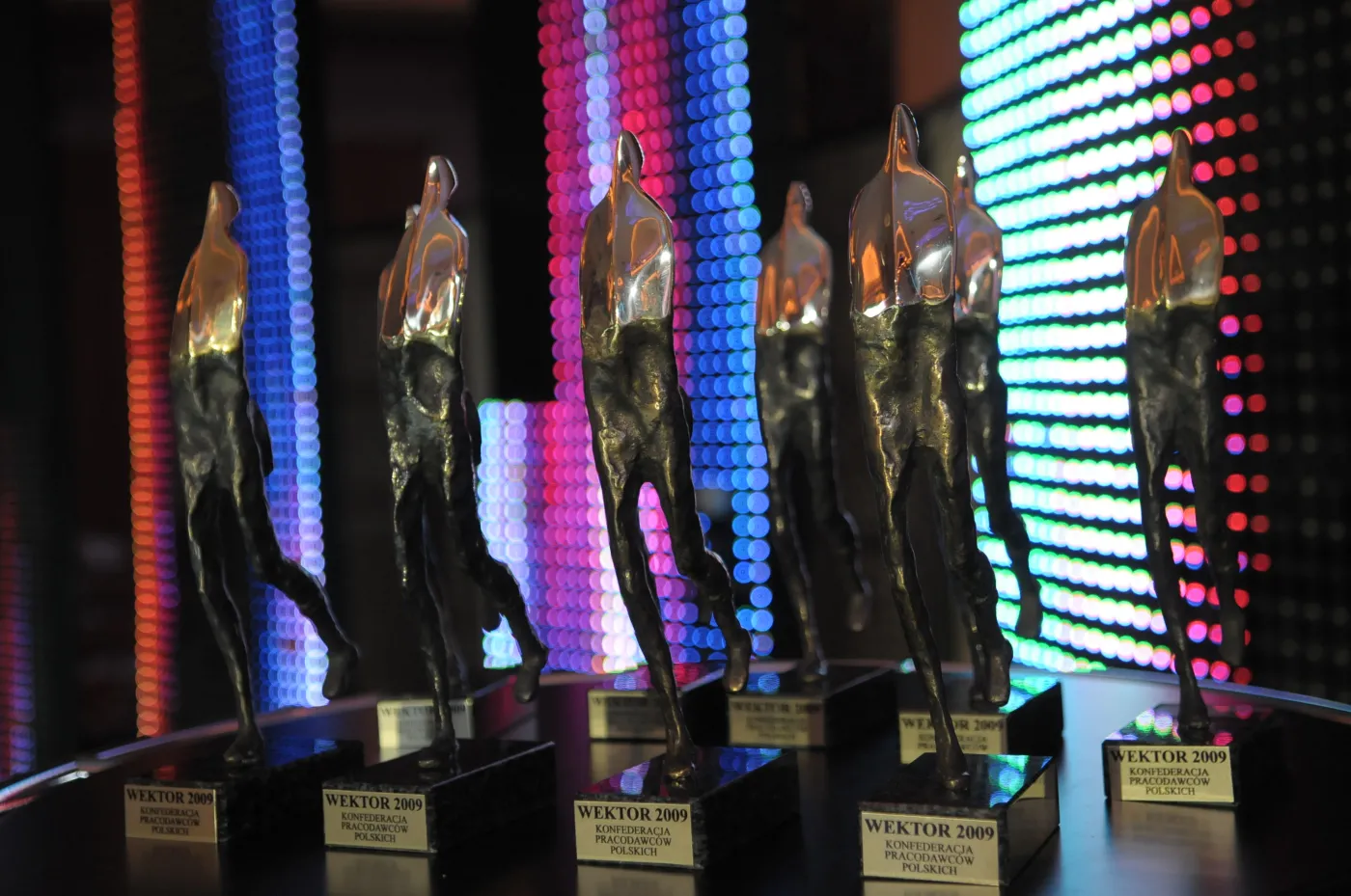 Wektory 2009 rozdane!