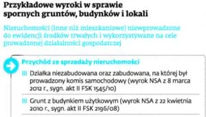 1463503-przykladowe-wyroki-w-sprawie-spornych.jpg