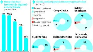 1852302-francja-jest-trzecim-co-do-wielkosci.jpg