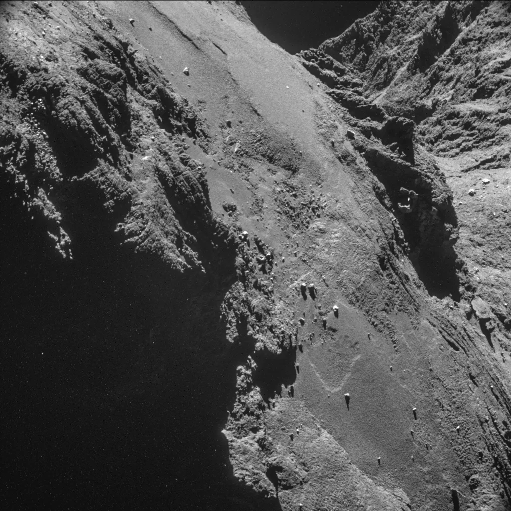 1999512-rosetta.jpg