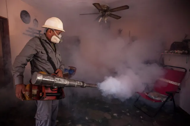 Ameryka Południowa walczy z wirusem Zika. Wywołuje ciężkie uszkodzenia płodów