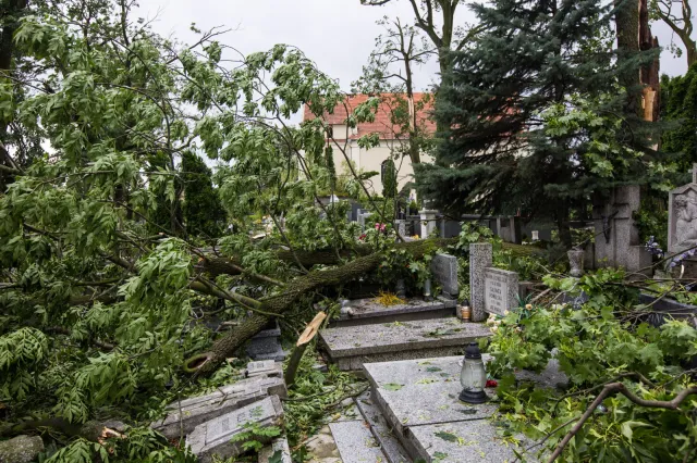 Pomorskie: Bez prądu prawie 17,5 tys. odbiorców