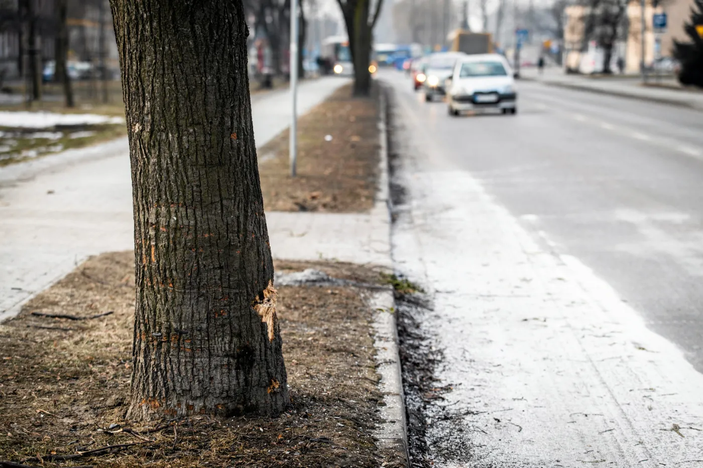 Prokuratura już zna ustalenia biegłych ws. wypadku z udziałem auta Beaty Szydło