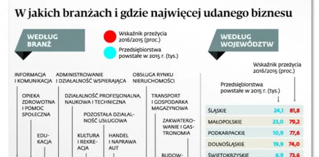 Co trzecia nowa firma nie przetrwała roku