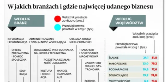 Co trzecia nowa firma nie przetrwała roku