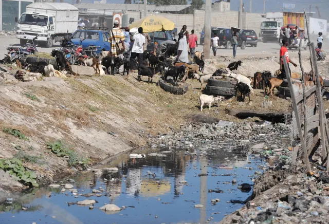 Haiti: Co najmniej 11 osób zginęło w trzęsieniu ziemi