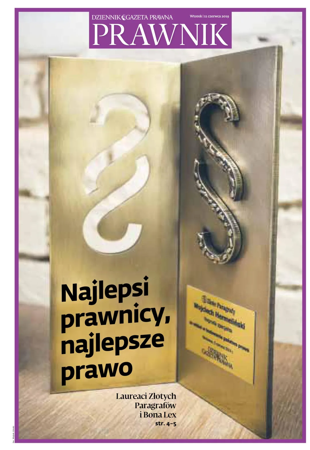 PRAWNIK