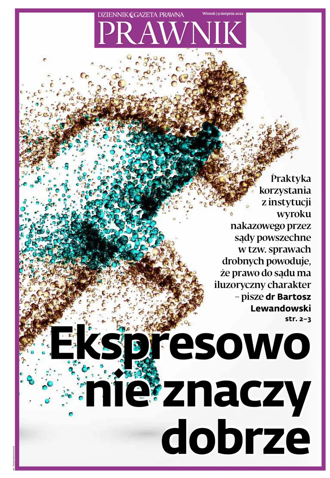 PRAWNIK