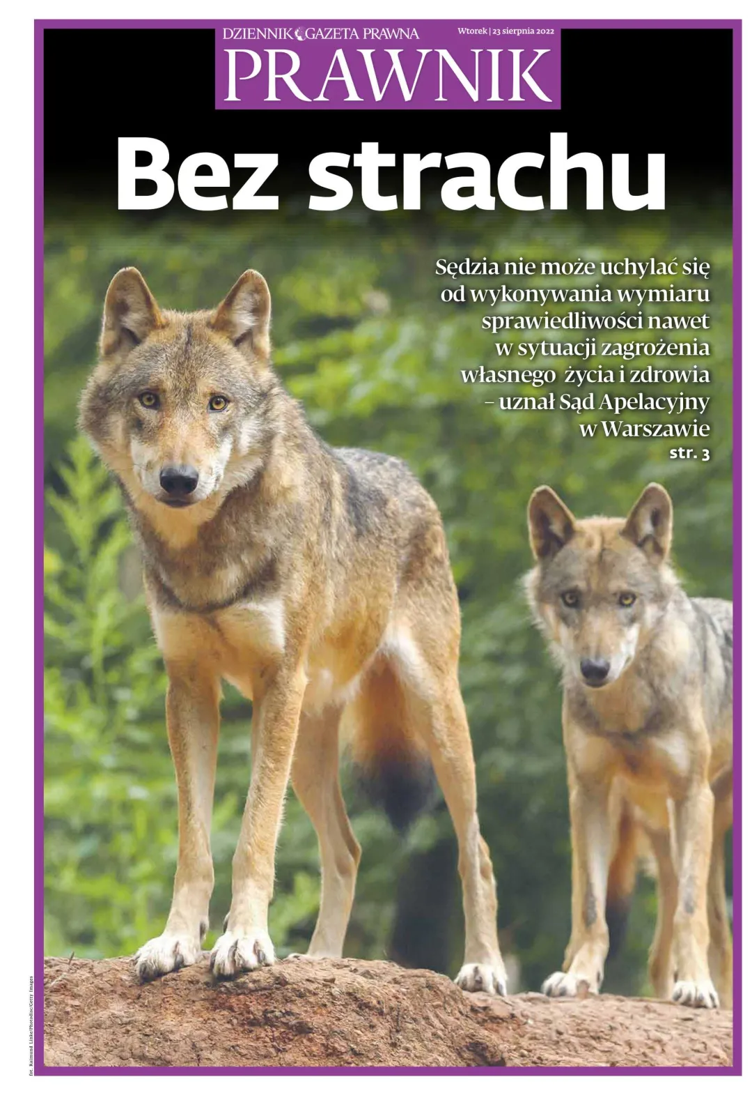 PRAWNIK