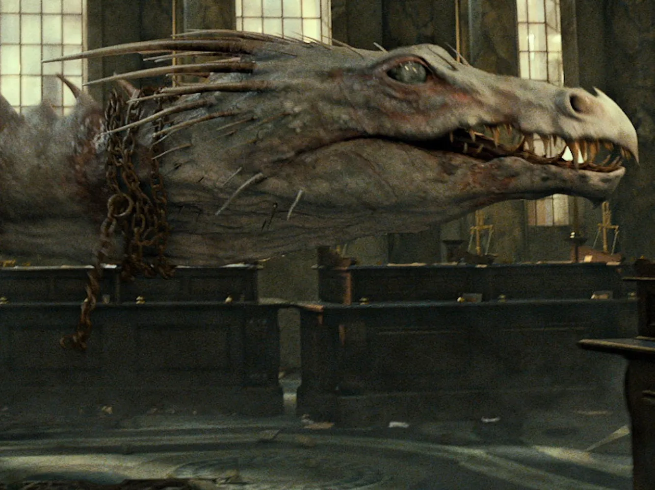 2242552-harry-potter-i-insygnia-smierci.jpg