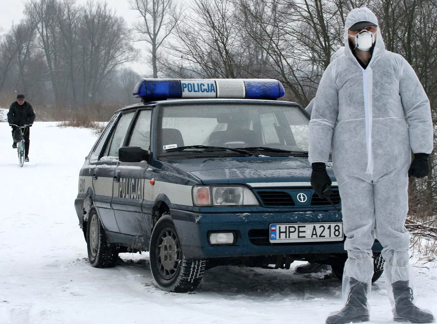 2481115-z-ptasia-grypa-w-polsce-walczyla.jpg