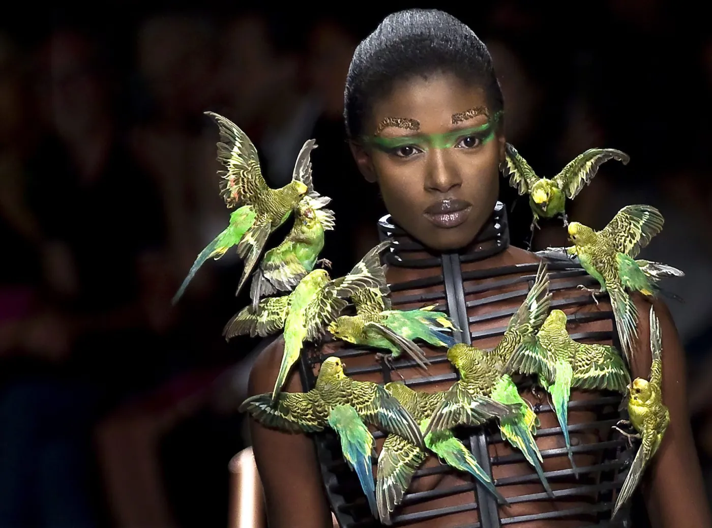 2545856-kolekcja-manish-arora-na-sezon.jpg