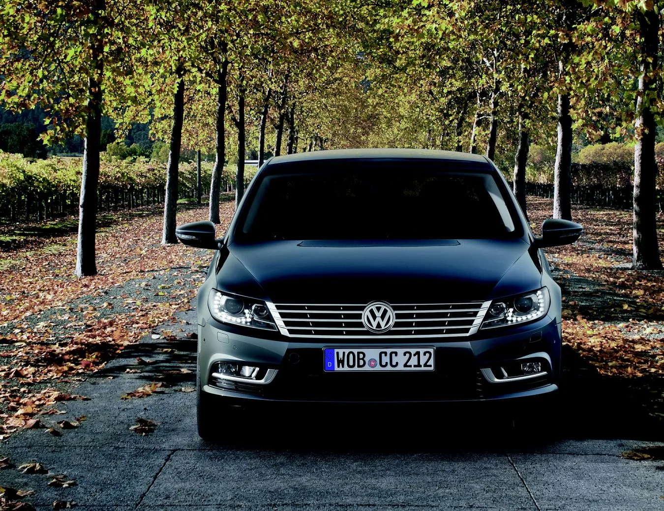 2691116-volkswagen-cc-passat-nowy-model-7.jpg