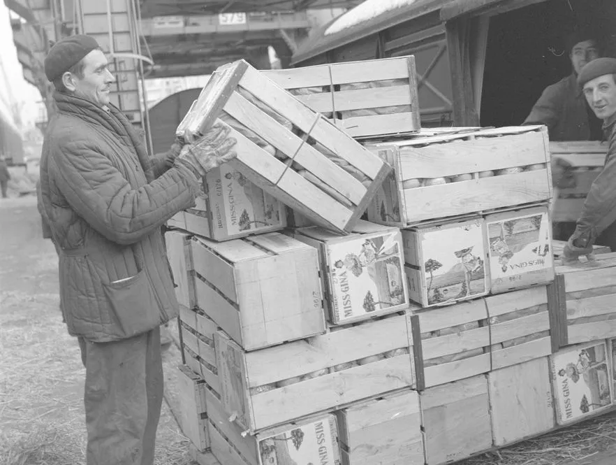 Transport pomarańczy do Polski w czasach PRL. 1969 rok