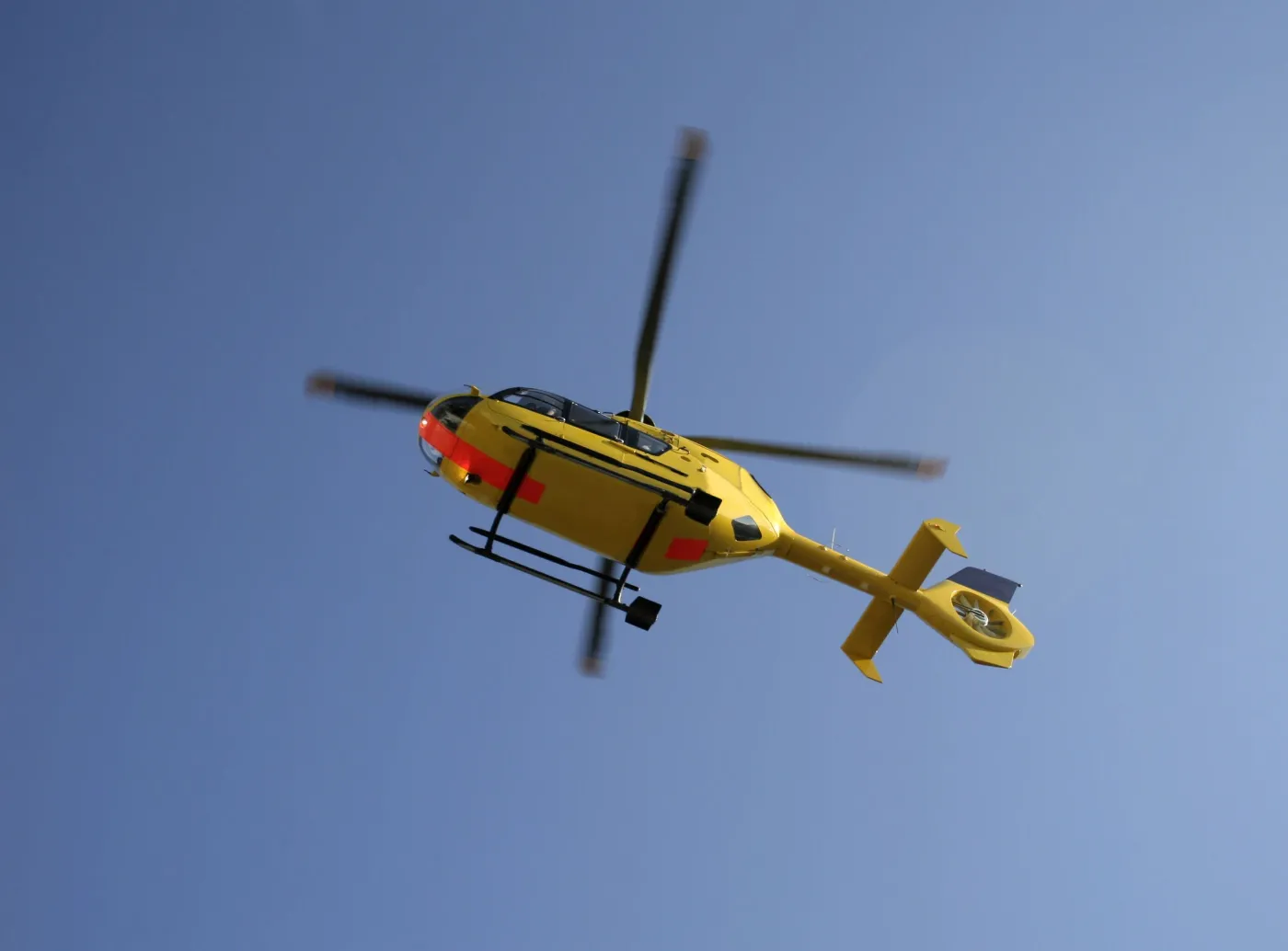 Drzewo przygniotło dzieci. Dziewczynka nie żyje