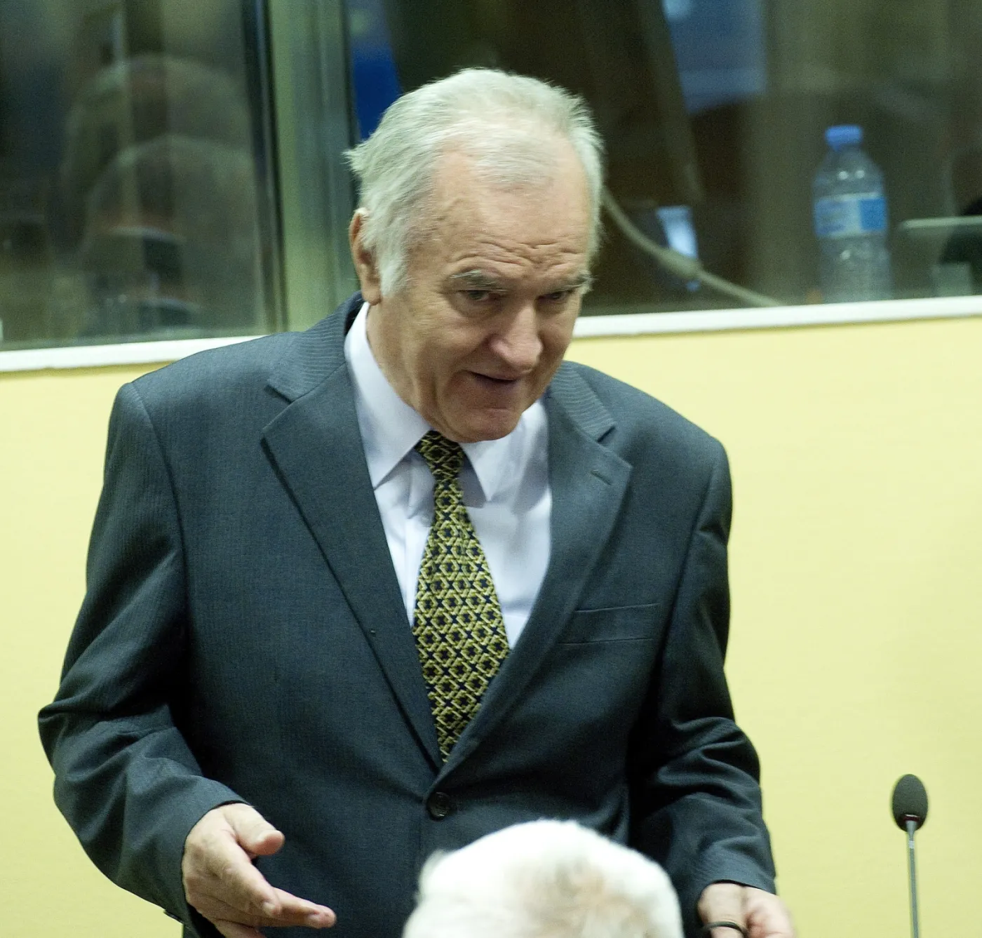 3503286-general-ratko-mladic-przywodca.jpg