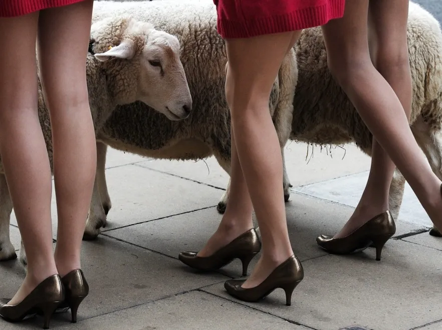 4139176-marks-spencer-londyn-wool-week.jpg