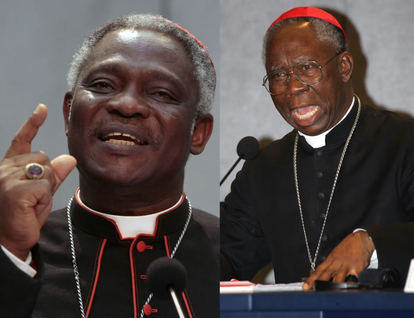 Kardynał Peter Turkson, kardynał Francis Arinze