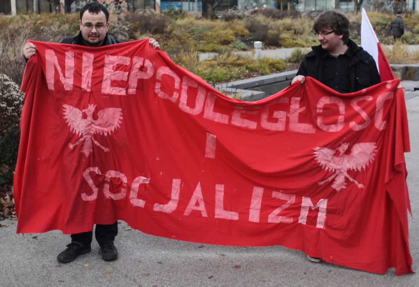4259717-marsz-socjalistow-polska-socjalna.jpg